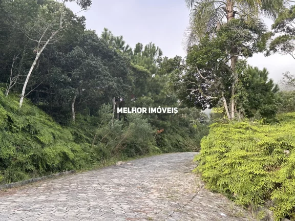 Imagem Terreno à Venda 5.000 m² Localizado em Balneário Camboriú - SC