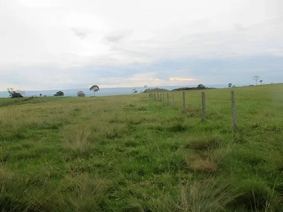 Imagem Fazenda a venda em Pontes e Lacerda - MT