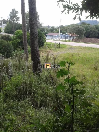 Imagem Chácara à Venda, 15 m² em Piên