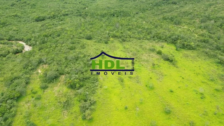 Imagem Fazenda 36 Alqs com 2,5 kms beira Rio dos Bois 60% em Permuta