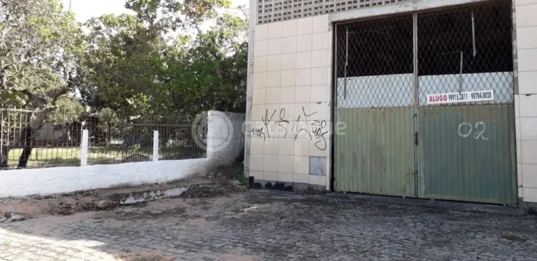 Imagem Chacara a venda em são josé de mipibu - BR 101