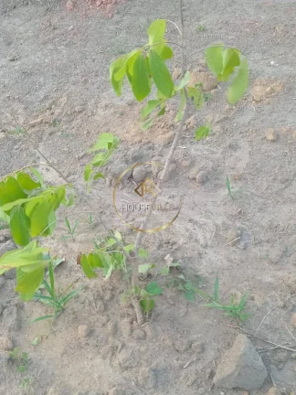 Imagem LOTES Á VENDA NO CONDOMÍNIO RECANTO DA FIGUEIRA EM JACAREÍ-SP