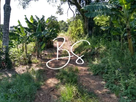 Imagem SITIO RESIDENCIAL em TRÊS COROAS - RS, Linha 28