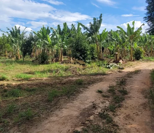 Imagem SITIO RURAL em MONTE MOR - SP, centro