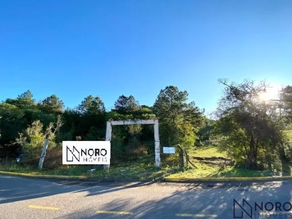 Terreno Bairro Cerrito 5000m²