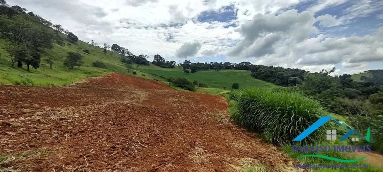 Imagem Invista em Sustentabilidade: Sítio com Nascentes e Preservação