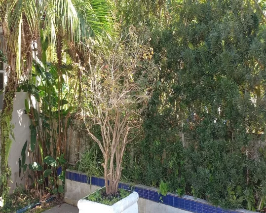 Imagem CASA RESIDENCIAL em Bertioga - SP, Bertioga