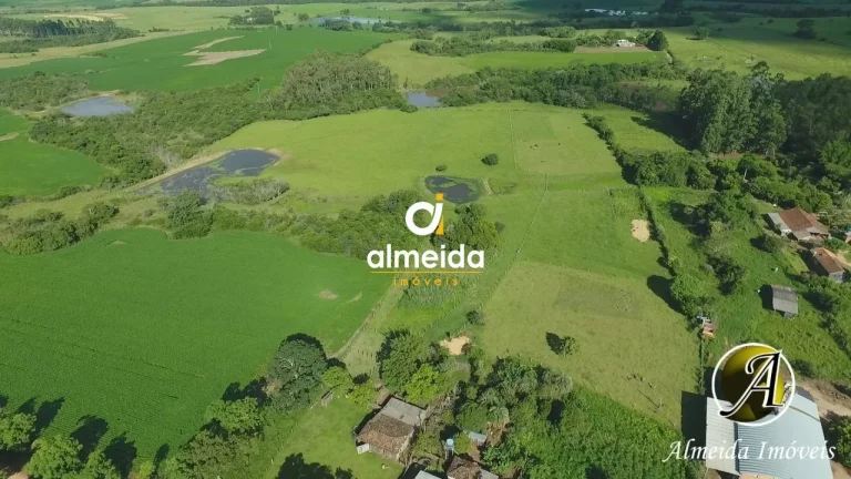 Imagem Chácara com 6,2 ha