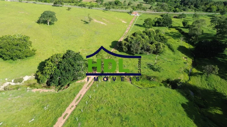 Imagem Fazenda de 1ª com 155 Hectares prox. à Goiânia.
