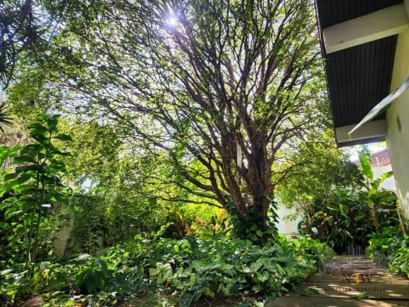 Imagem Casa com 6 dormitórios, 453 m² - venda por R$ 5.350.000,00 ou aluguel por R$ 38.500,00/mês - Alto de Pinheiros - São Paulo/SP