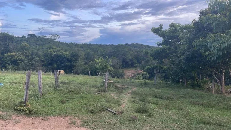 Imagem Fazenda à Venda – 117,3 Hectares em Luziânia-GO