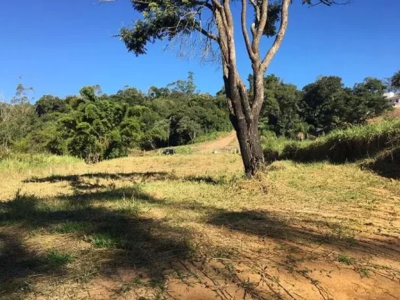 Imagem Ótimo Lote