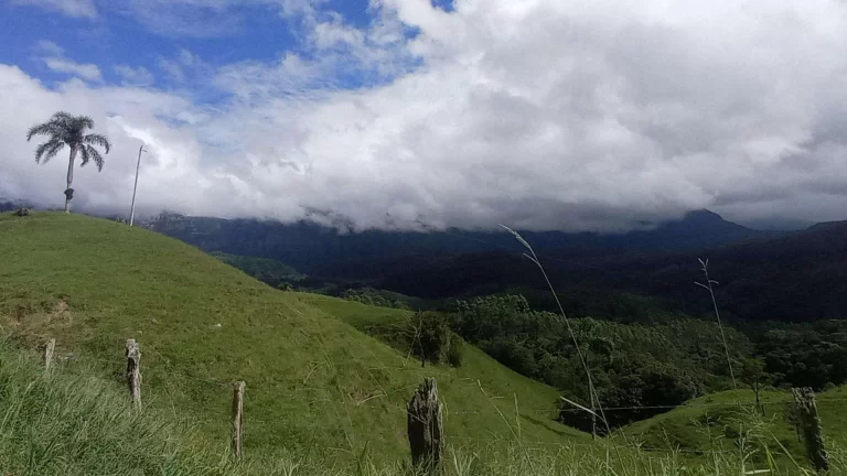 Imagem Área rural à venda em Santa Rosa de Lima/SC