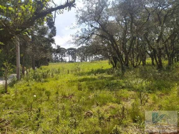 Imagem Terreno para Venda em São José dos Pinhais, Contenda, 1 dormitório
