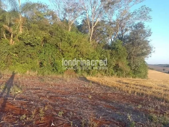 Imagem Vendo Terreno de 40.000m² Próximo a Ibiporã – Ótimo para Investimento, Loteamento, Agricultura ou Chácaras! Duas Escrituras! Agende uma Visita!