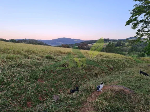Imagem Sítio em Piracaia com 31 Alqueires