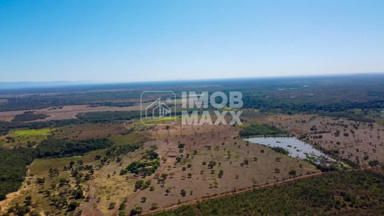 Imagem Fazenda a venda em Formosa: 281 hectares, água perene, dupla aptidão - escriturada e registrada.