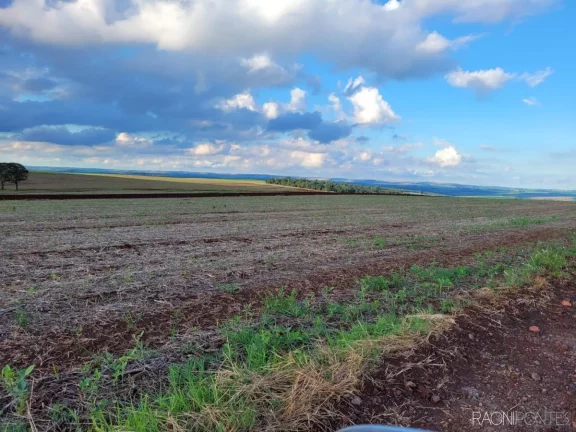 Imagem Fazenda à Venda, 2.057.000 m² em Centro - Cambé