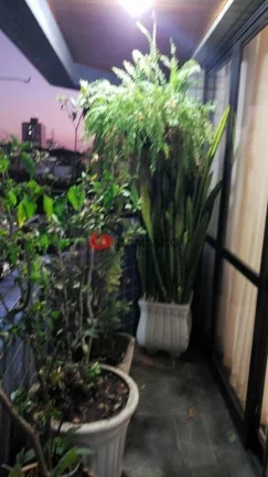 Imagem Apartamento à venda 3 Quartos, 3 Suites, 2 Vagas, 205M², Barcelona, São Caetano do Sul - SP