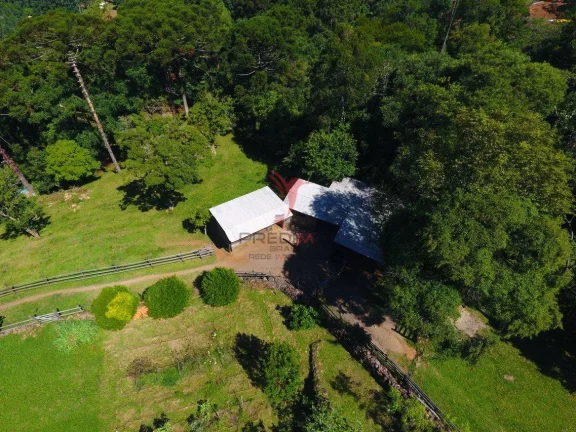 Imagem Lugar paradisíaco na cidade de Morro Reuter-RS, 5 imóveis 6,9 hectares