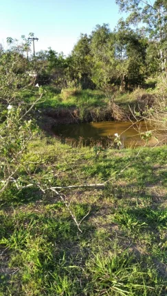 Imagem TERRENO NA CHACARAS REUNIDAS - PILAR DO SUL - SP