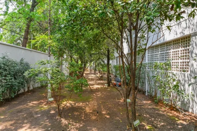 Imagem Apartamento vila clementino pronto para morar