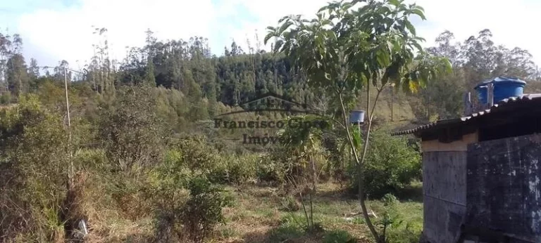 Imagem Sítio à venda no bairro Rocinha - Guaratinguetá/SP