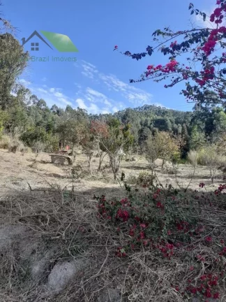 Imagem Chácara com 3 Quartos à Venda, 121.000 m² em Damião - Paraibuna