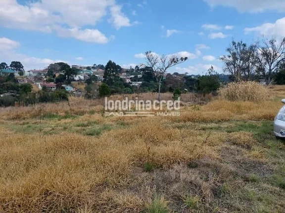 Imagem Terreno à venda Centro, Ponta Grossa - PR