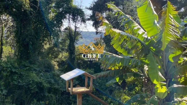 Imagem Chácara - Sítio com 2 Dormitorio(s) localizado(a) no bairro Zona Rural em Três Coroas / RIO GRANDE DO SUL Ref.:1415