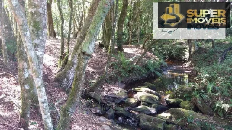 Imagem Chácara 3 hectares para Venda na BR em Cascata Pelotas-RS