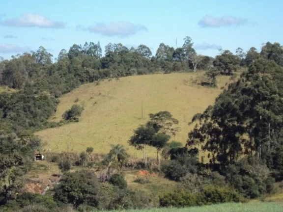 Imagem SÍTIO 11 ALQ. PAULISTA, PARA CAFÉ, MILHO, SOJA - JACUÍ MG