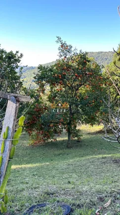 Imagem Chácara - Sítio com 4 Dormitorio(s) localizado(a) no bairro Linha Imperial em Nova Petrópolis / RIO GRANDE DO SUL Ref.:1506