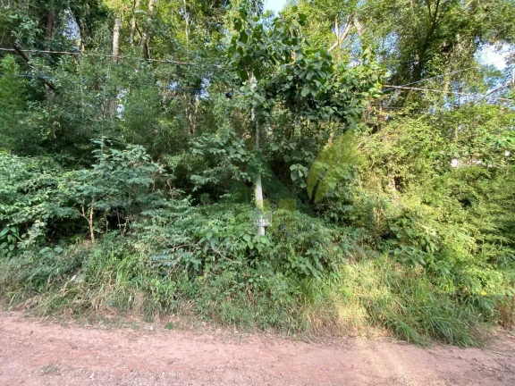 Imagem Terreno à Venda em Atibaia Loteamento de Chacaras