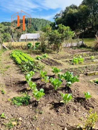 Imagem Chácara para Venda em São José dos Pinhais, Contenda