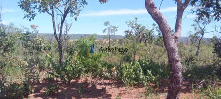 Imagem Chácara para Venda em Brasília, Setor Habitacional Jardim Botânico