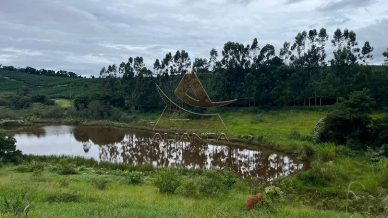 Imagem Fazenda - Oliveira - Zona Rural