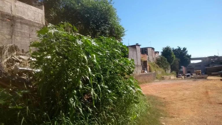 Imagem Salão comercial à venda no bairro Jardim Sapopemba - São Paulo/SP, Zona Leste