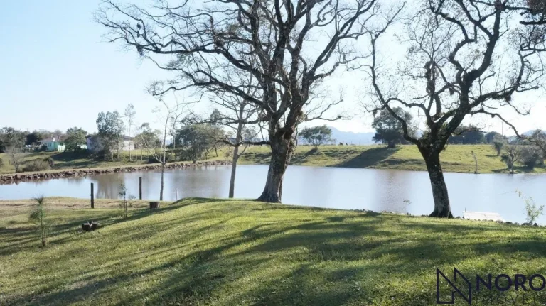 Imagem Lindíssima chácara, 2,1ha, acesso asfaltado, com sede, cocheiras, horta, pomar,