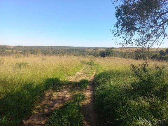 Fazenda à Venda, 10.000.000 m² em Zona Rural - Camapuã