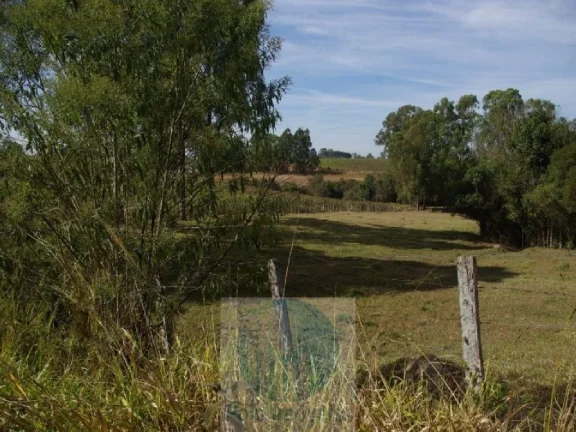 Imagem SÍTIO A VENDA 66,5 HECTARES para GRÃOS E GADO, JACUÍ MG