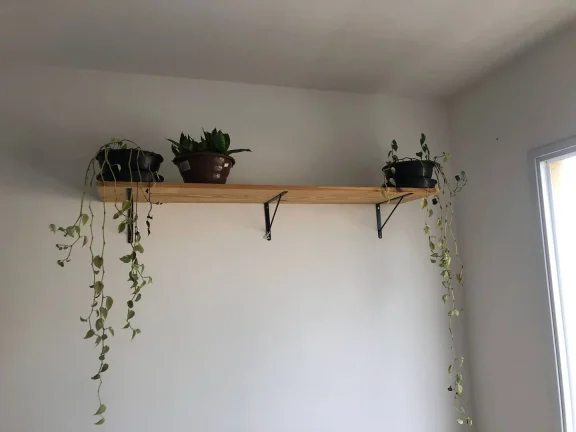 Imagem Apartamento para Locaçao Mobiliado