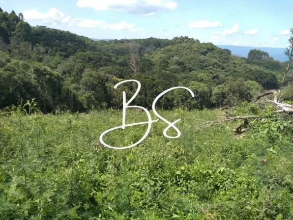 Imagem SITIO RURAL em IGREJINHA - RS, Serra Grande