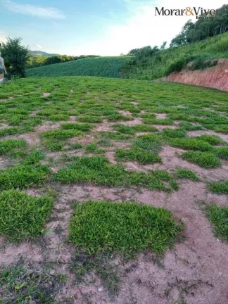 Imagem Chácara para Venda em Quitandinha, São Gabriel, 2 dormitórios, 1 banheiro, 3 vagas