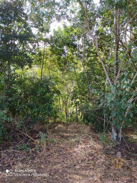 Imagem Terreno à Venda, 4.959 m² em Aldeia - Paudalho