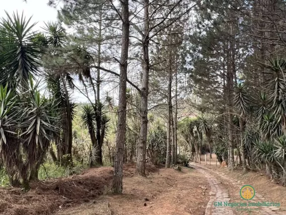 Imagem Área para Incorporação - 18.455m² Km 36 Rap. Tavares