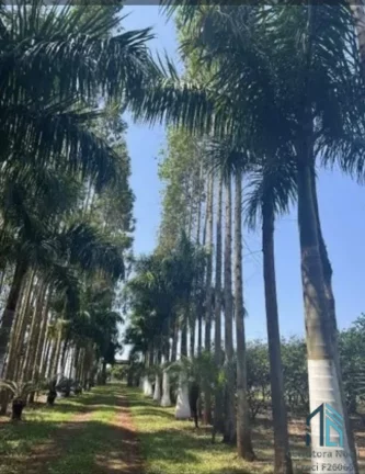 Imagem Chácara à Venda - Oportunidade Única com 67.900m², Santa Terezinha de ITAIPU- PR