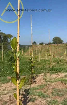 Imagem Casa para Venda em Atibaia, Ribeirao Dos Porcos