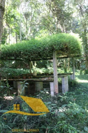 Imagem Vendo Sítio em Duas Barras