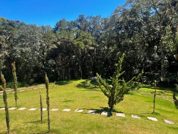 Imagem Chácara Alto Padrão | O Refúgio Definitivo em Gonçalves